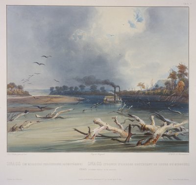 Snags on the Missouri by Karl Bodmer